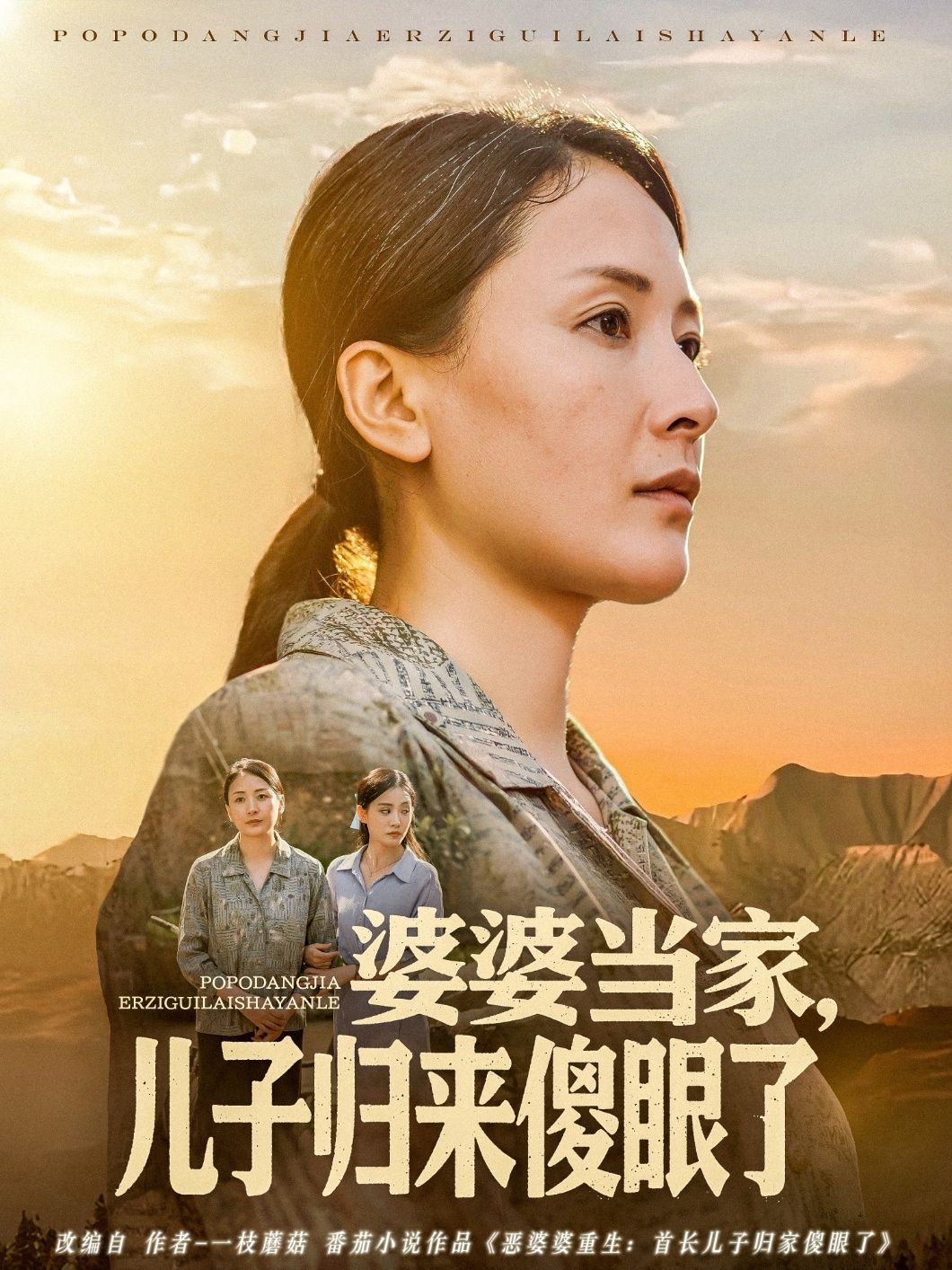 婆婆當(dāng)家兒子歸來傻眼了(全集)