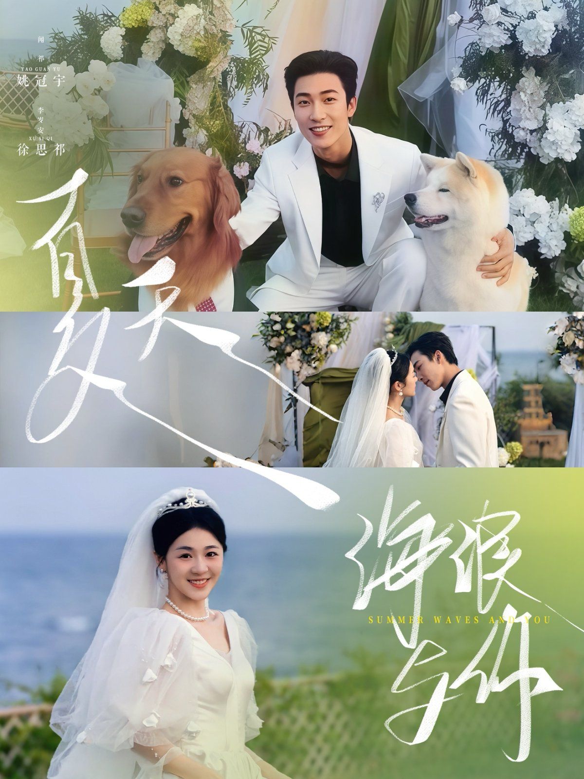 夏天海浪與你(全集)