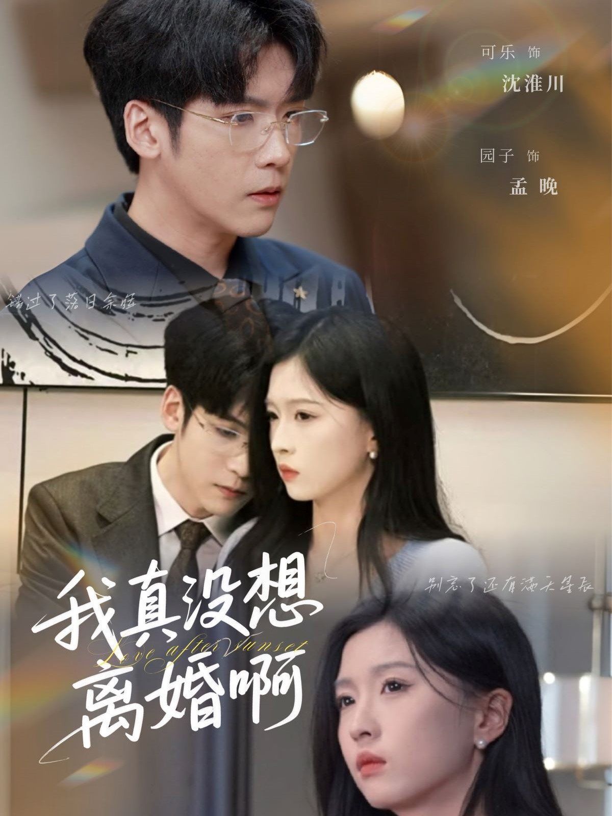 我真沒想離婚啊(全集)