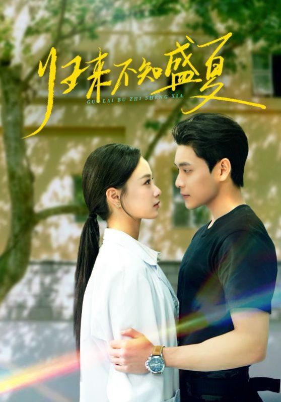 歸來(lái)不知盛夏(全集)