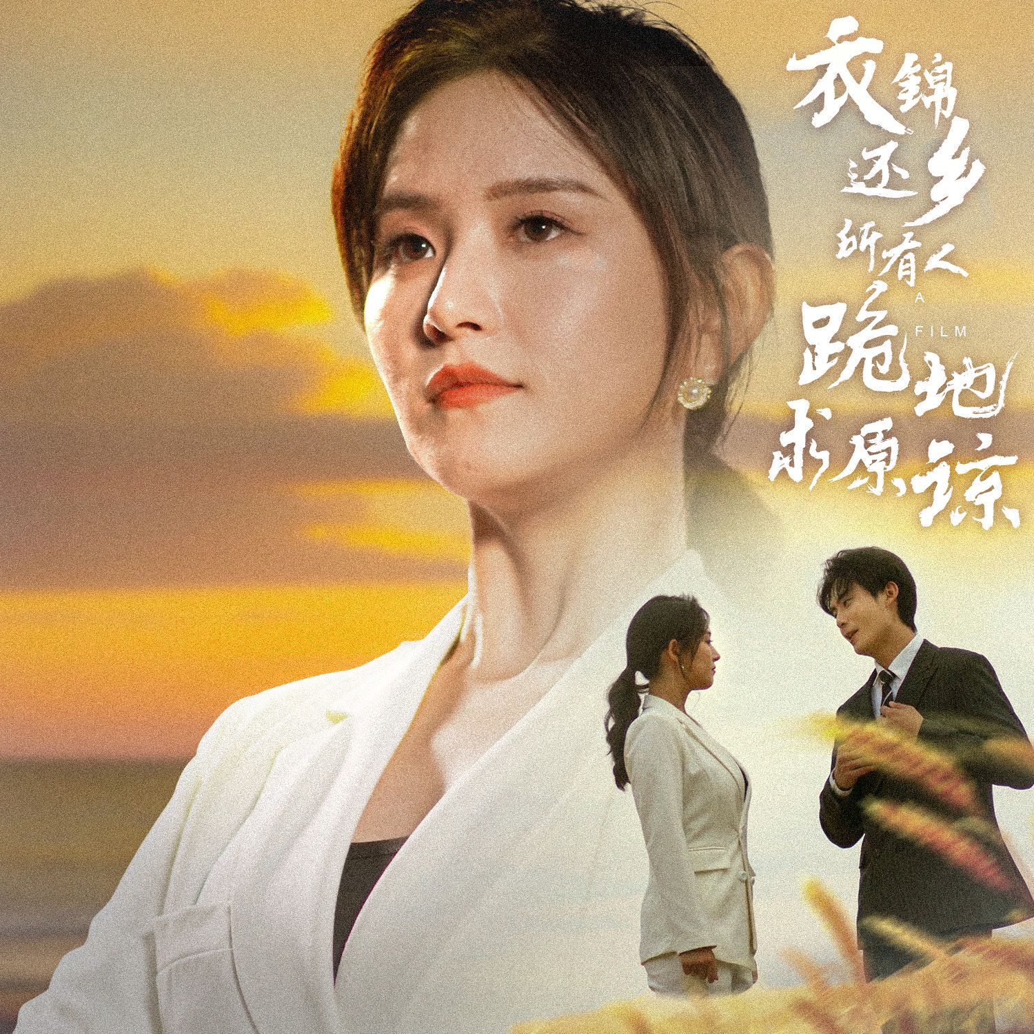 衣錦還鄉(xiāng)，所有人跪地求原諒(全集)