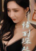 相互交錯(cuò)的愛（情到深處）（重生的愛）（兩個(gè)人的游戲）(全集)