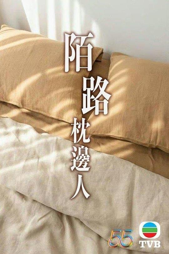 再見(jiàn)枕邊人國(guó)語(yǔ)(全集)