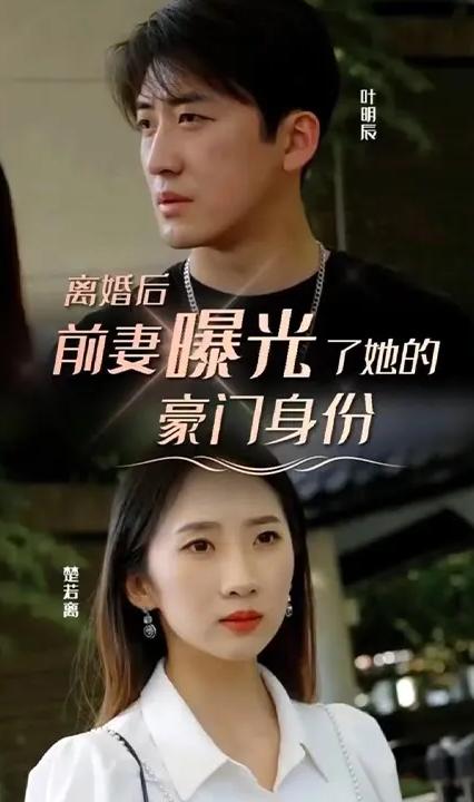 離婚后，前妻曝光了她的豪門身份(全集)