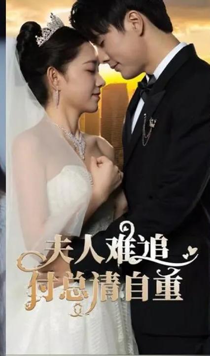 夫人難追，付總請(qǐng)自重(全集)